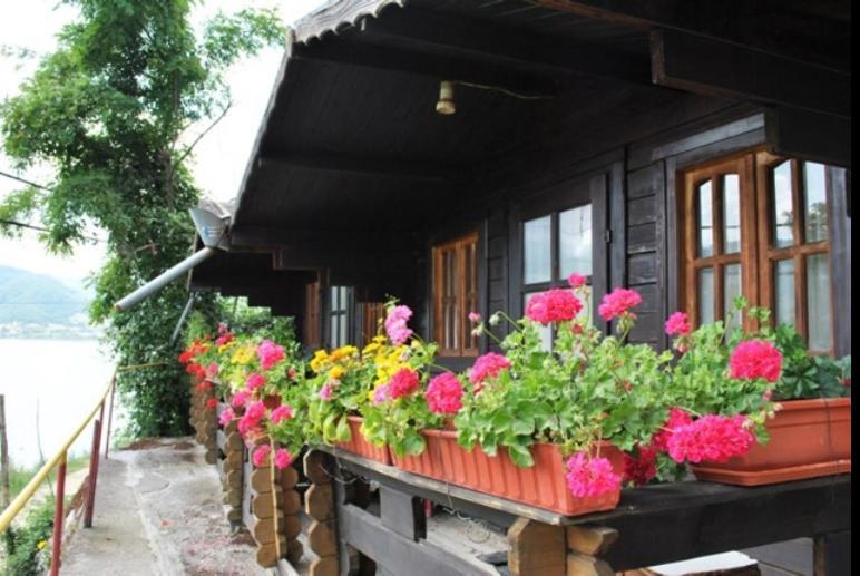 Gratca Nr 164 Orsova Villa Екстериор снимка