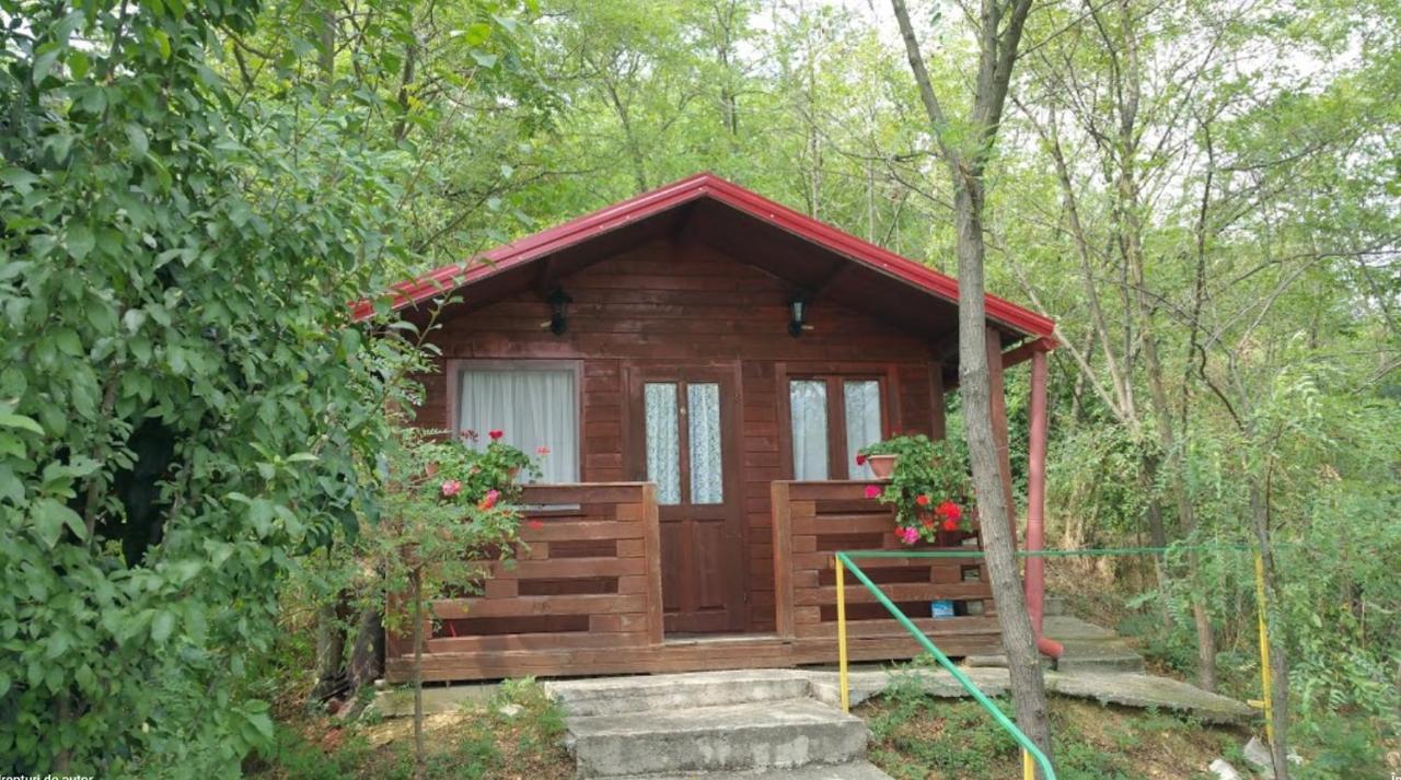 Gratca Nr 164 Orsova Villa Екстериор снимка