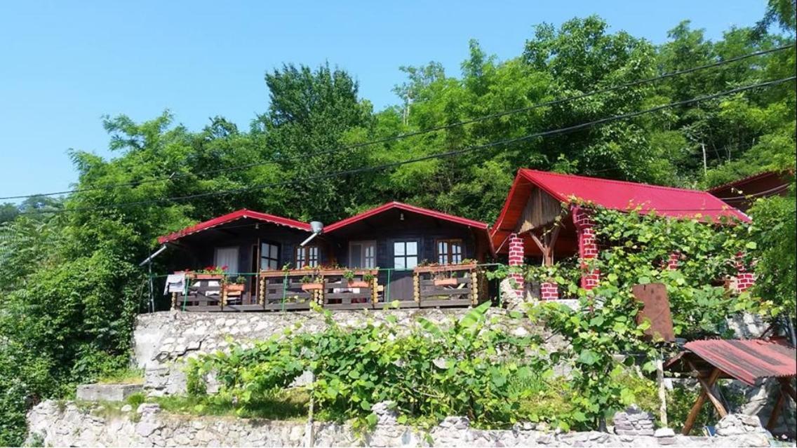 Gratca Nr 164 Orsova Villa Екстериор снимка