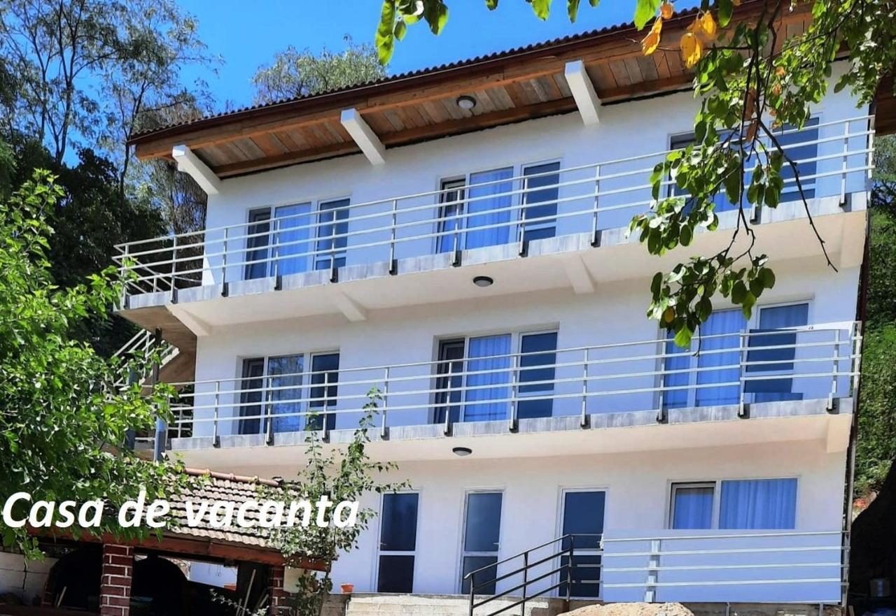 Gratca Nr 164 Orsova Villa Екстериор снимка