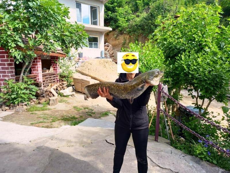 Gratca Nr 164 Orsova Villa Екстериор снимка