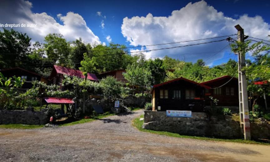 Gratca Nr 164 Orsova Villa Екстериор снимка