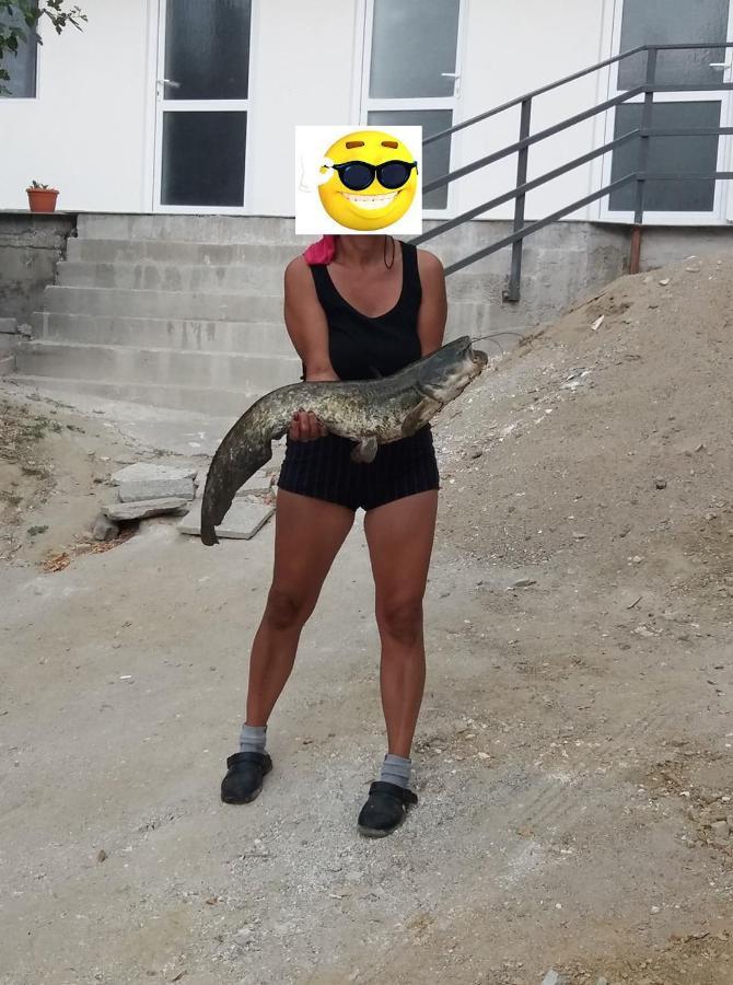 Gratca Nr 164 Orsova Villa Екстериор снимка